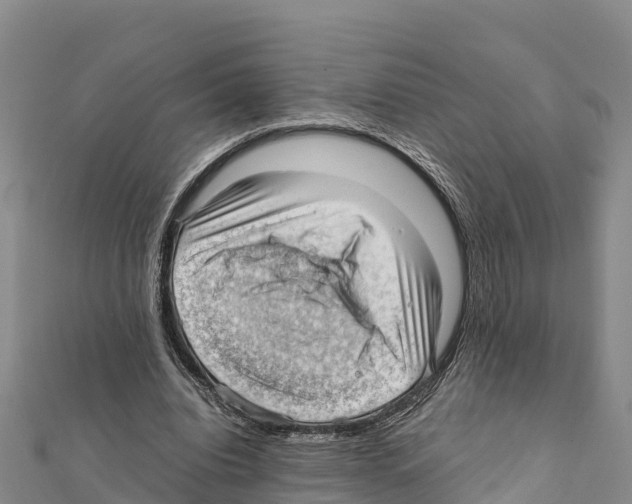 X0000111390440200908211405