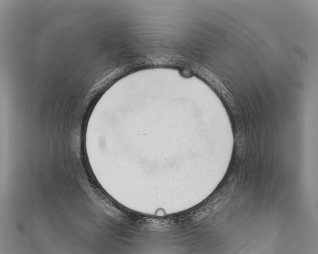 X0000111390442200908211405