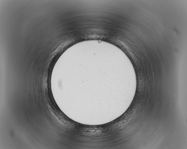 X0000111390443200908211405