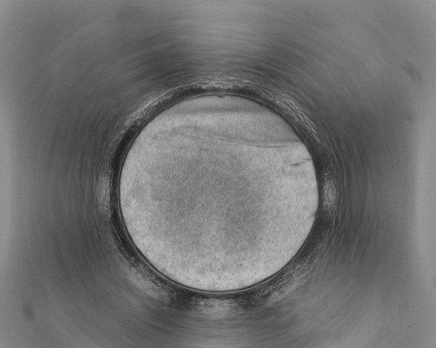 X0000111390444200908211405