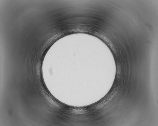 X0000111390445200908211405
