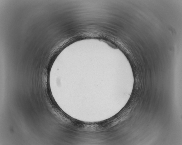 X0000111390446200908211405