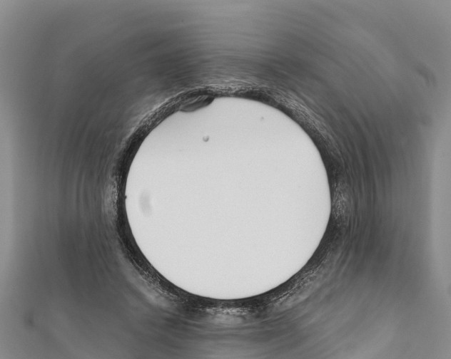 X0000111390448200908211405