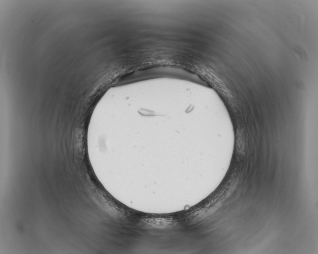 X0000111390449200908211405