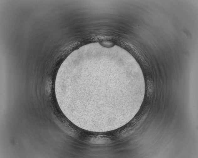 X0000111390451200908211405