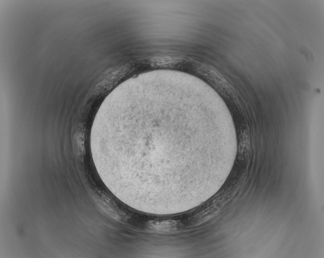 X0000111390452200908211405