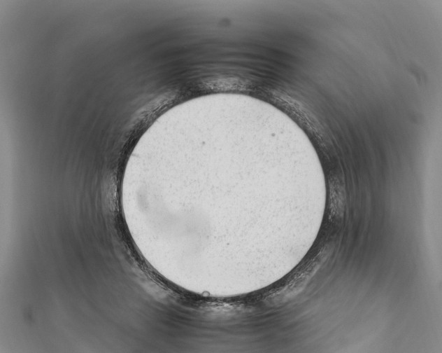 X0000111390453200908211405