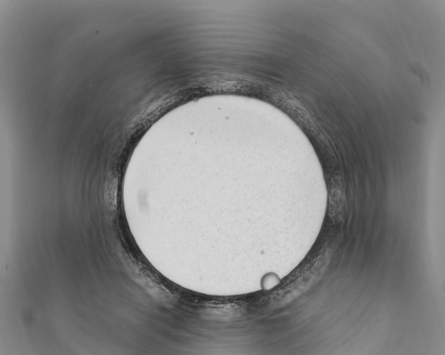 X0000111390454200908211405
