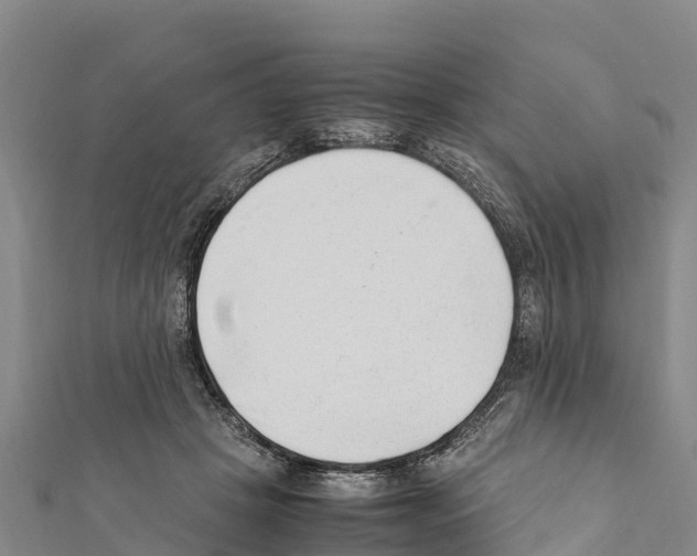 X0000111390457200908211405