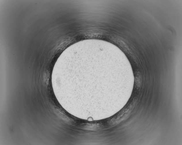 X0000111390458200908211405