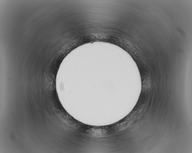 X0000111390464200908211405