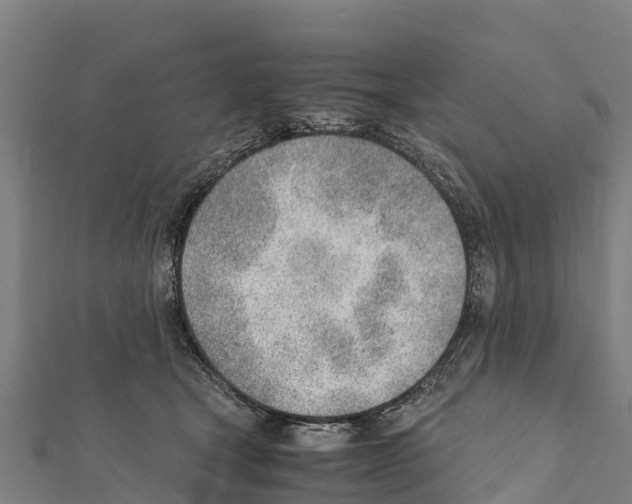 X0000111390465200908211405