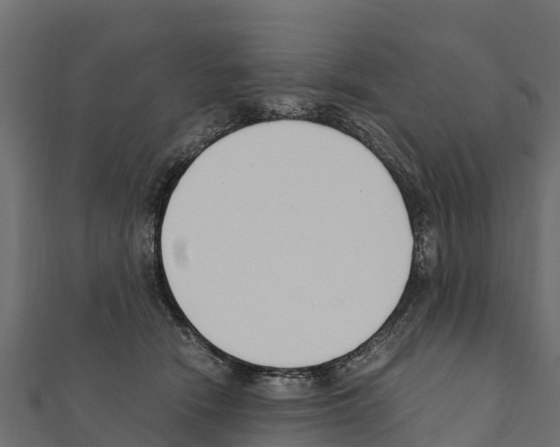 X0000111390466200908211405