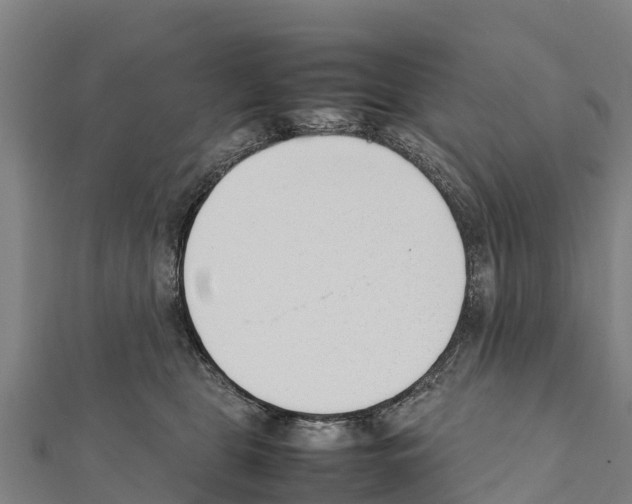 X0000111390469200908211405