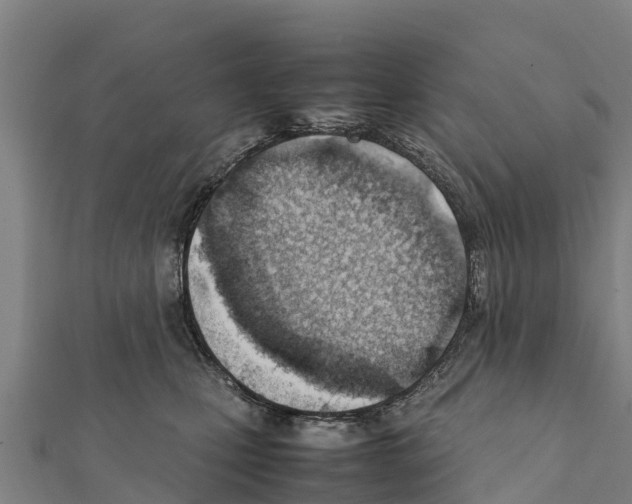 X0000111390471200908211406