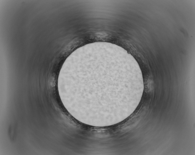 X0000111390472200908211406