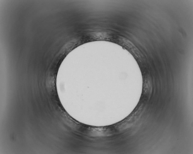X0000111390473200908211406