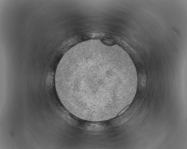 X0000111390475200908211406