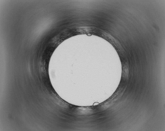 X0000111390477200908211406