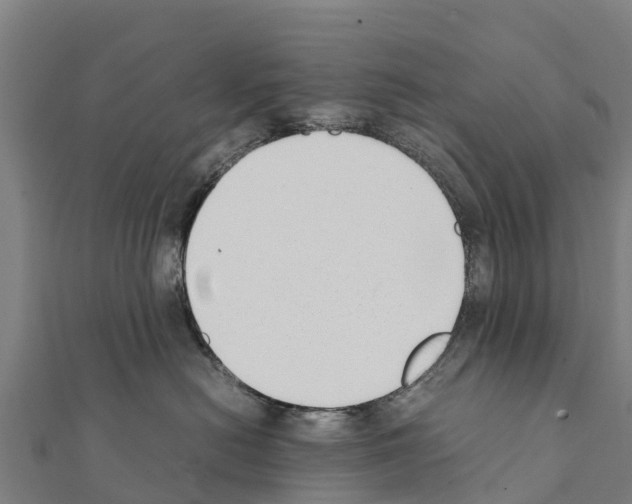 X0000111390478200908211406