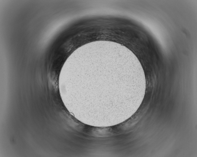X0000111390479200908211406