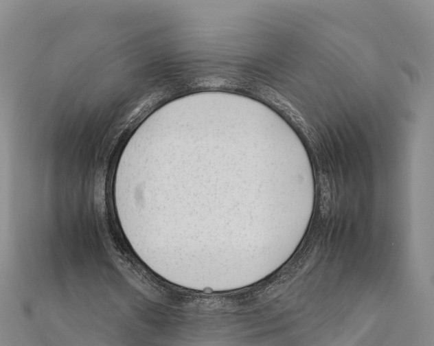 X0000111390482200908211405