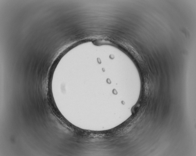 X0000111390484200908211405