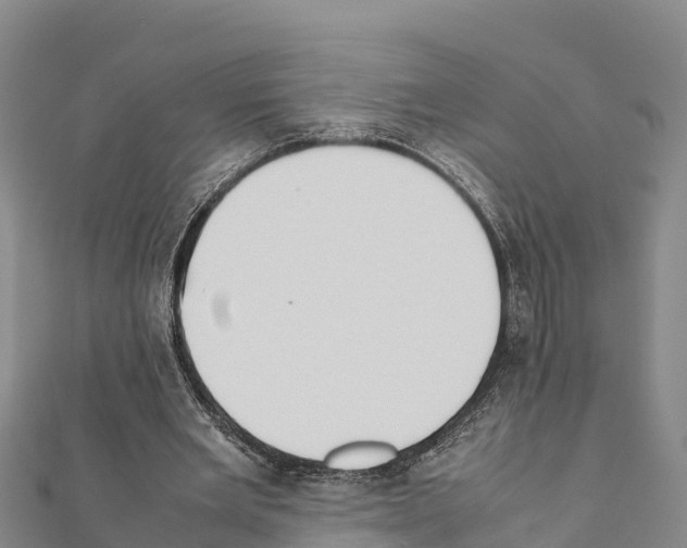 X0000111390485200908211405