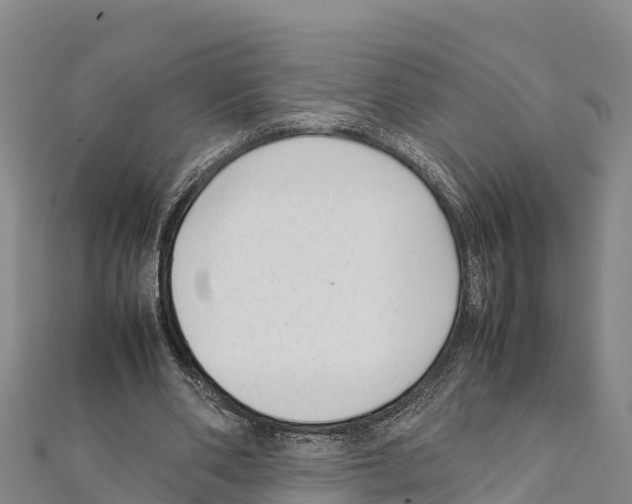 X0000111390486200908211405