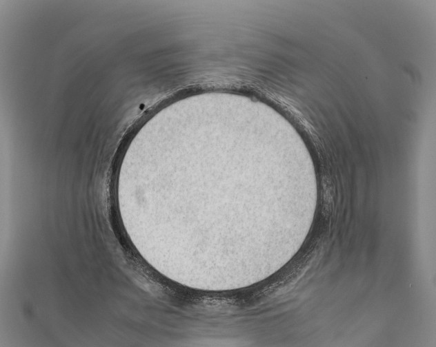 X0000111390487200908211405