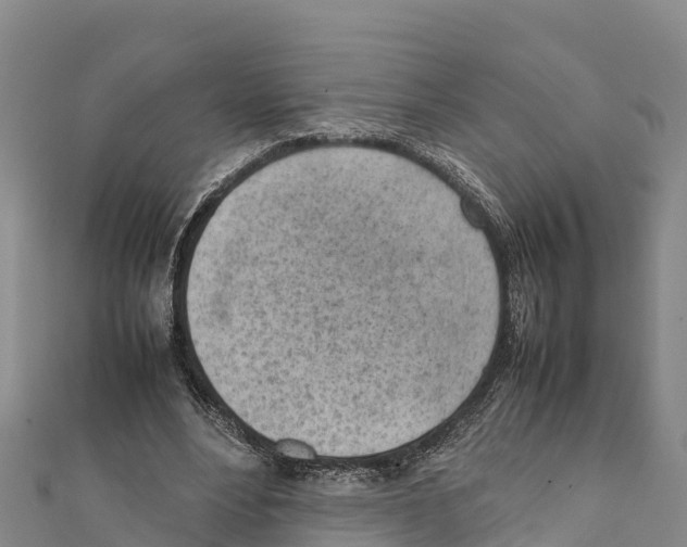 X0000111390488200908211405