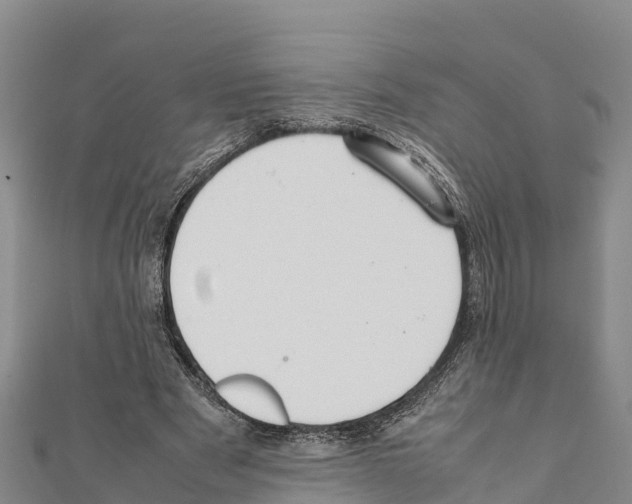 X0000111390489200908211405