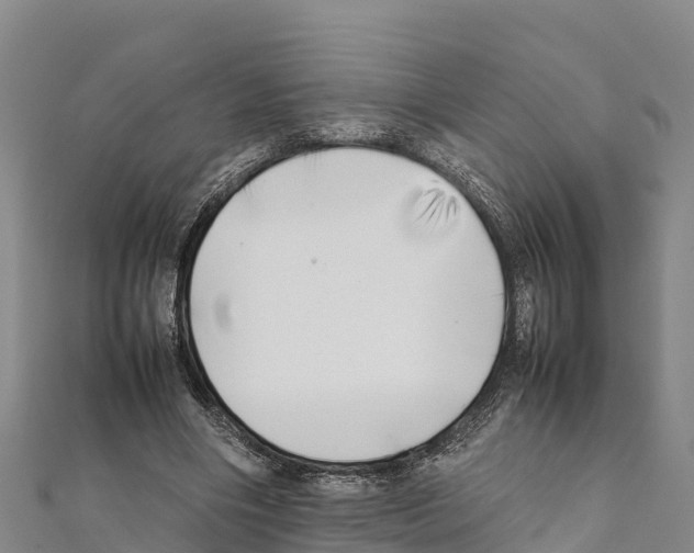 X0000111390490200908211405