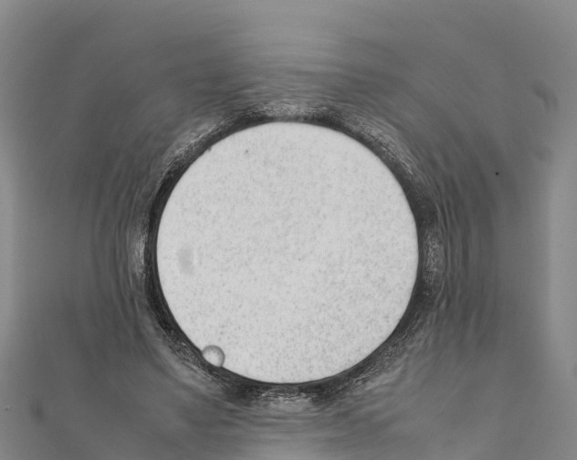 X0000111390491200908211405