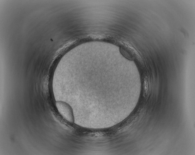 X0000111390492200908211405