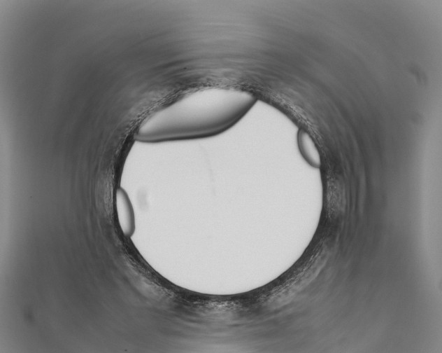 X0000111390493200908211405