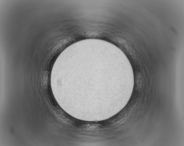 X0000111390495200908211405