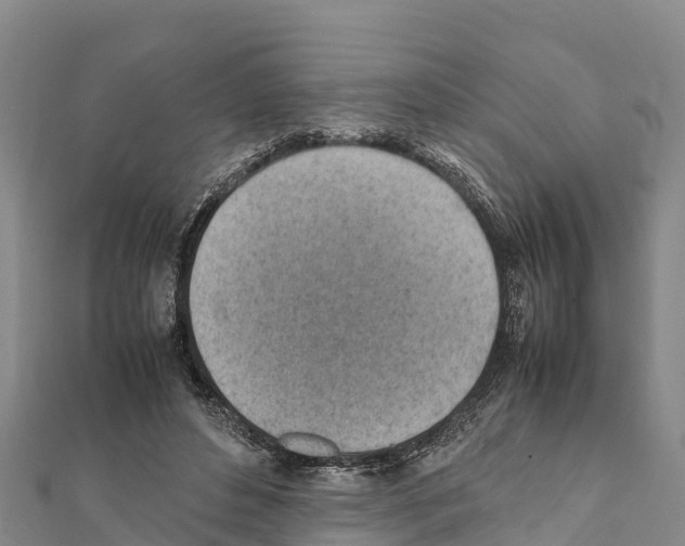 X0000111390496200908211405