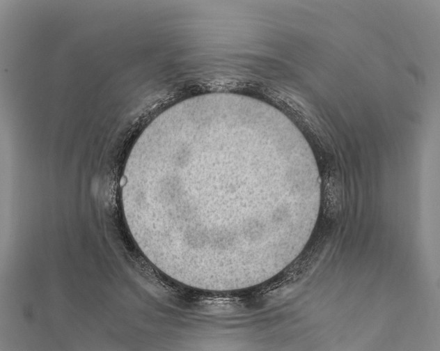 X0000111390499200908211405