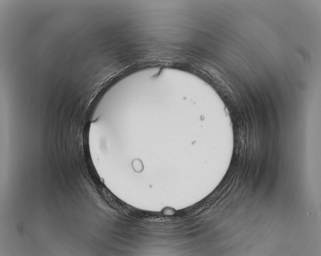 X0000111390500200908211405