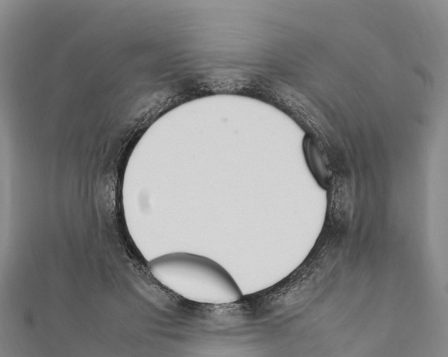 X0000111390501200908211405