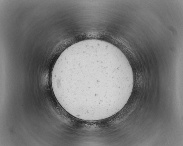 X0000111390502200908211405