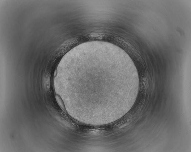 X0000111390504200908211405