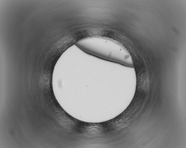 X0000111390505200908211405
