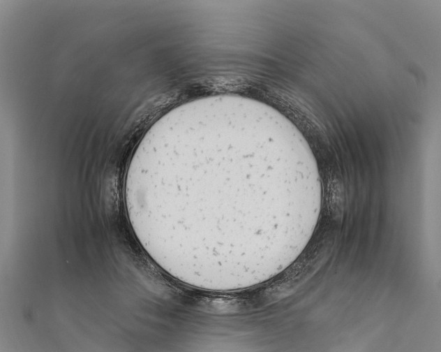 X0000111390506200908211405