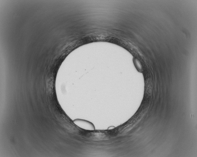 X0000111390509200908211405