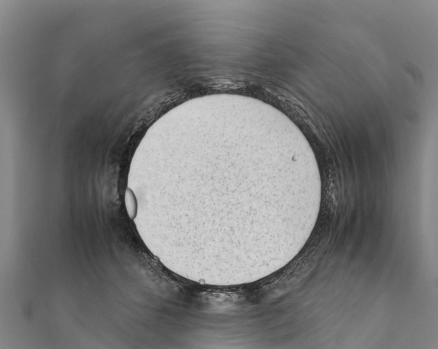 X0000111390512200908211405