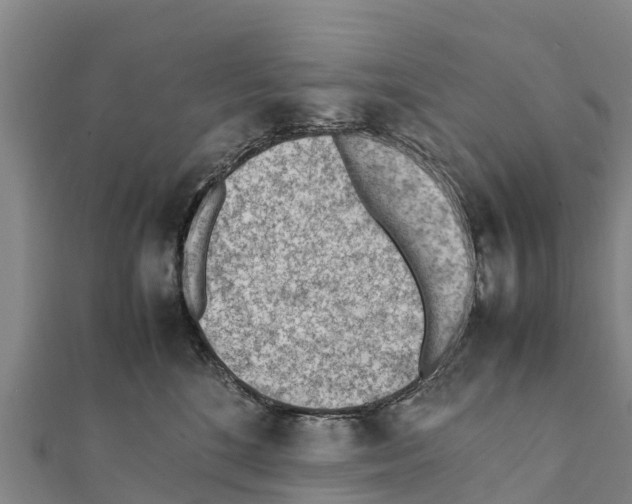 X0000111390520200908211404