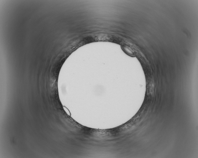 X0000111390521200908211404
