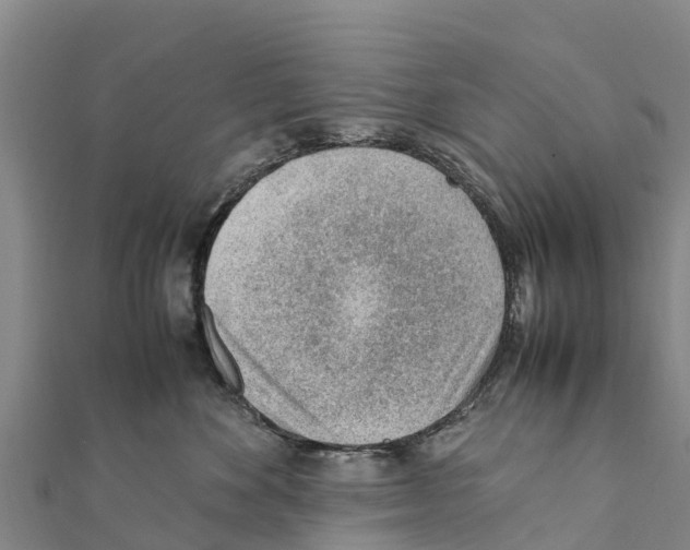 X0000111390524200908211404
